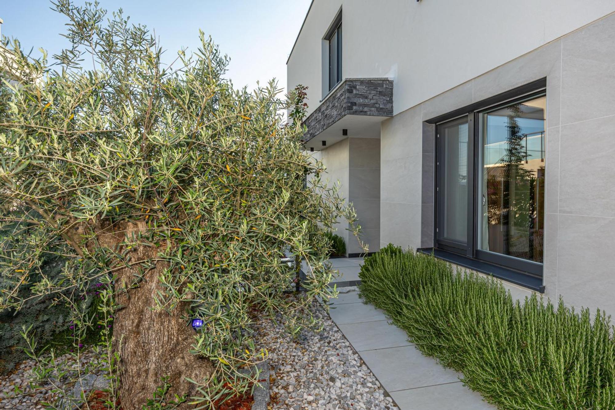 Luxury Villas White Sails Pinezići Eksteriør billede